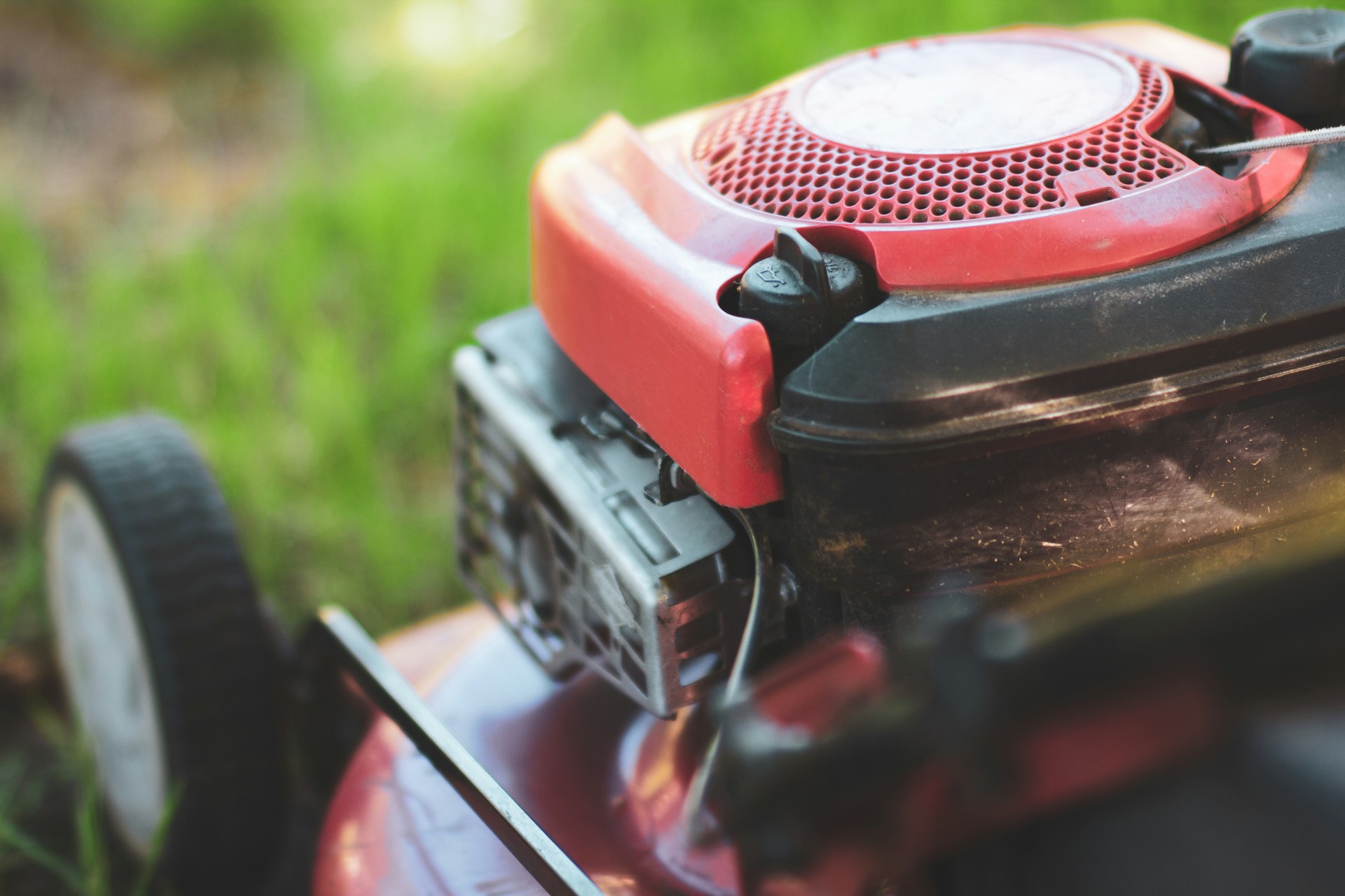 picture of push mower